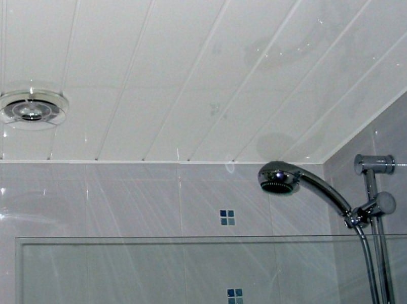 Panel Bathroom Ceiling