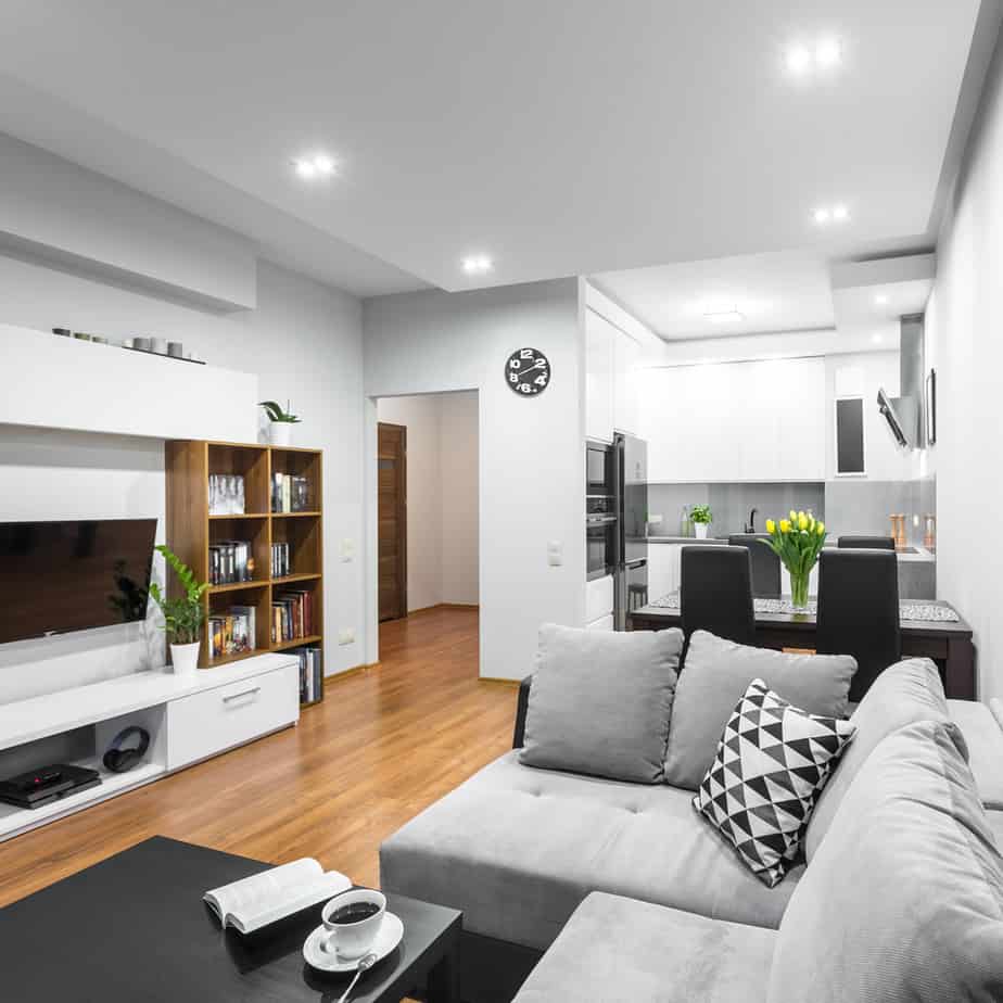 Mixed Contemporary Living Room