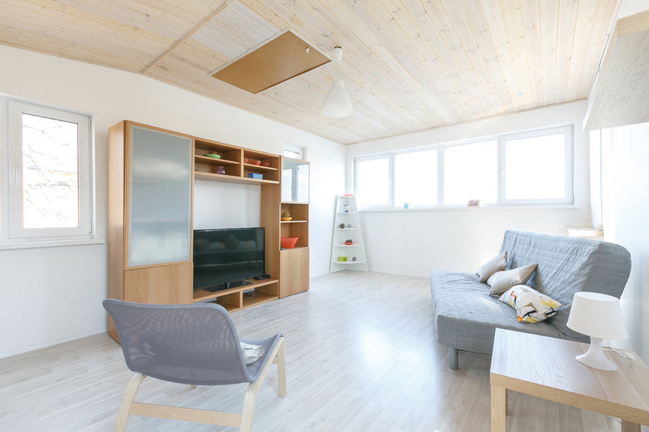 Minimalist Basement Living Room