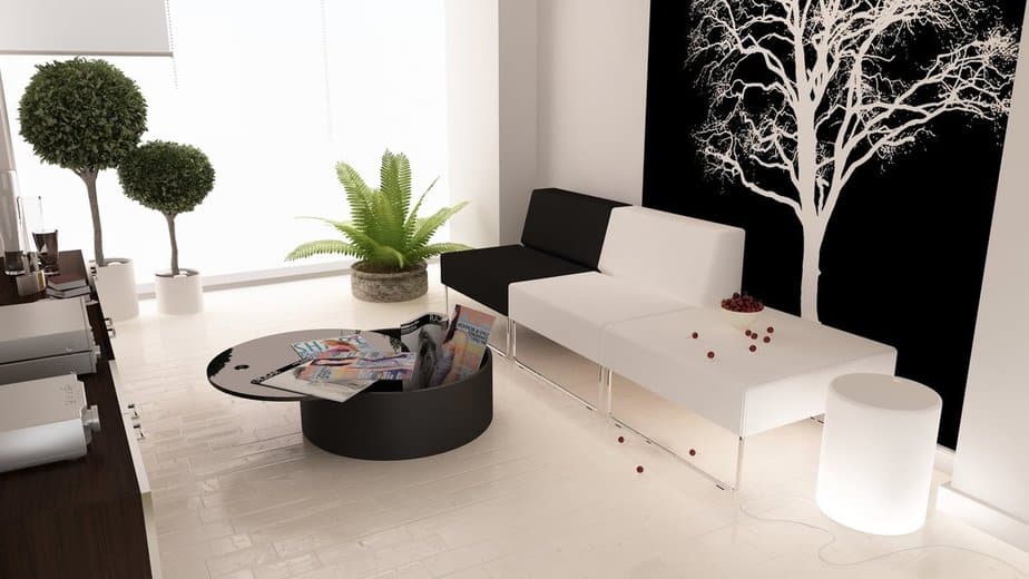 Plant-Inspired Black and White Living Room 
