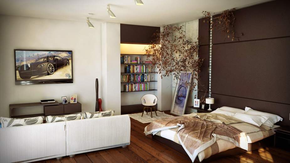 Cool Living Room Bedroom Combo Ideas