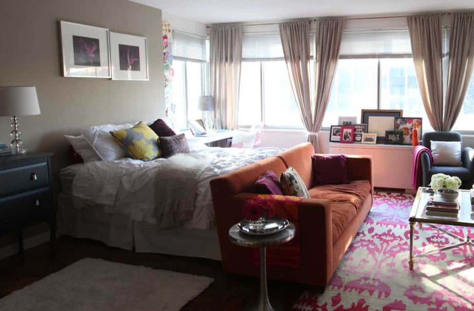 Delightful Living Room Bedroom Combo Ideas