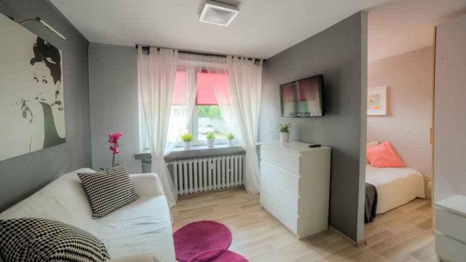 Fancy Look in Minimalist Living Room Bedroom Combo Style