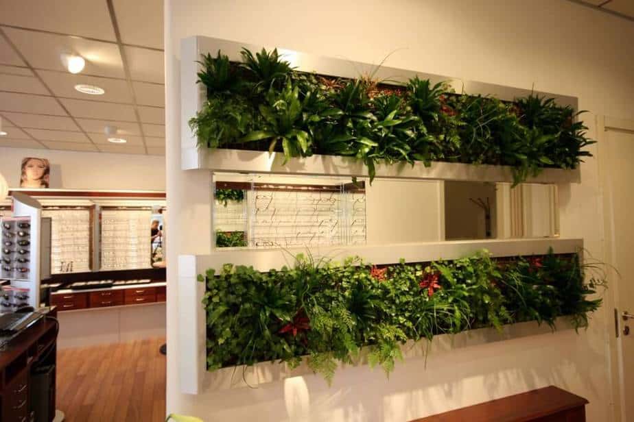 Concrete with Plants as Room Divider