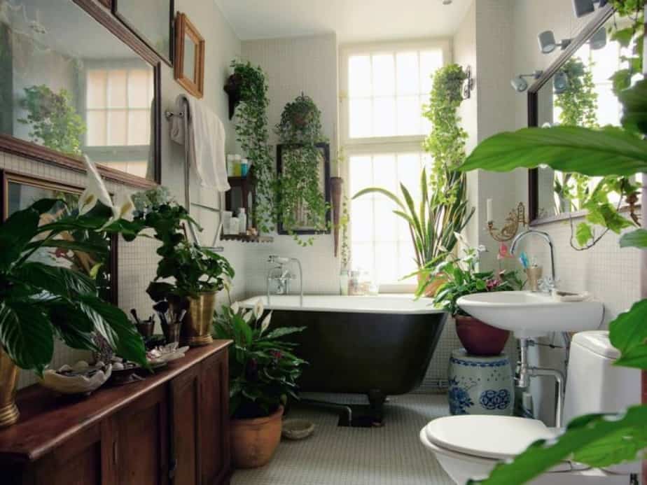 Indoor Garden Tropical Bathroom