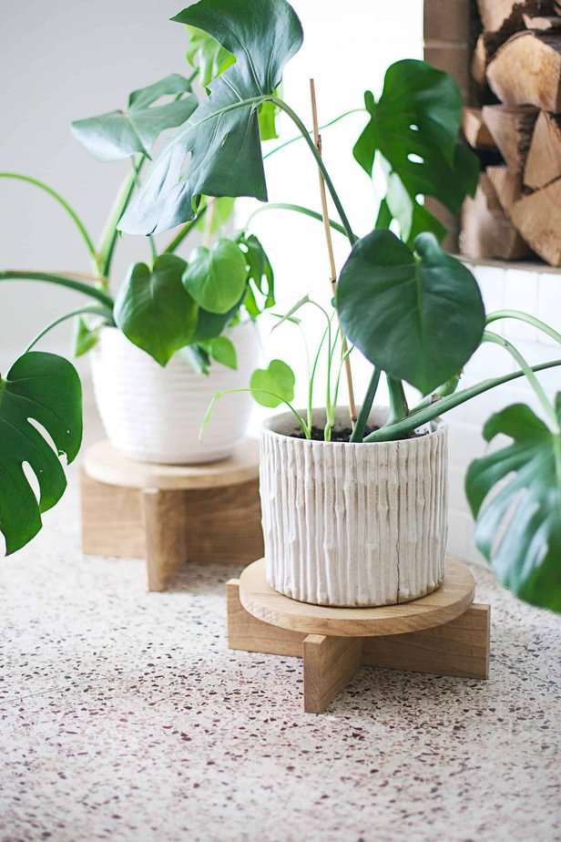 Modern Styled DIY Plant Stand from Woods