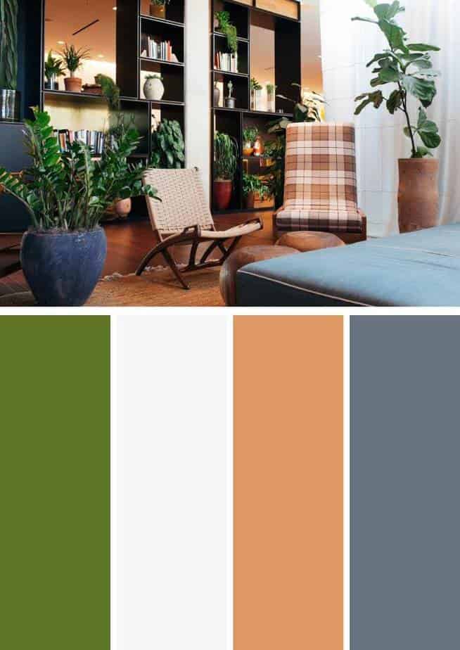 Colors That Go Good with Green with living plant