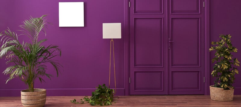 Colors That Matches with Purple with plants