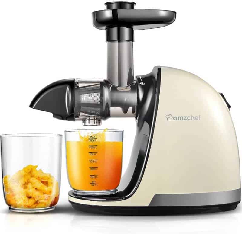 Masticating Juicers